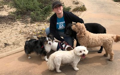 What are the Benefits of Pack Dog Walking in Los Angeles?
