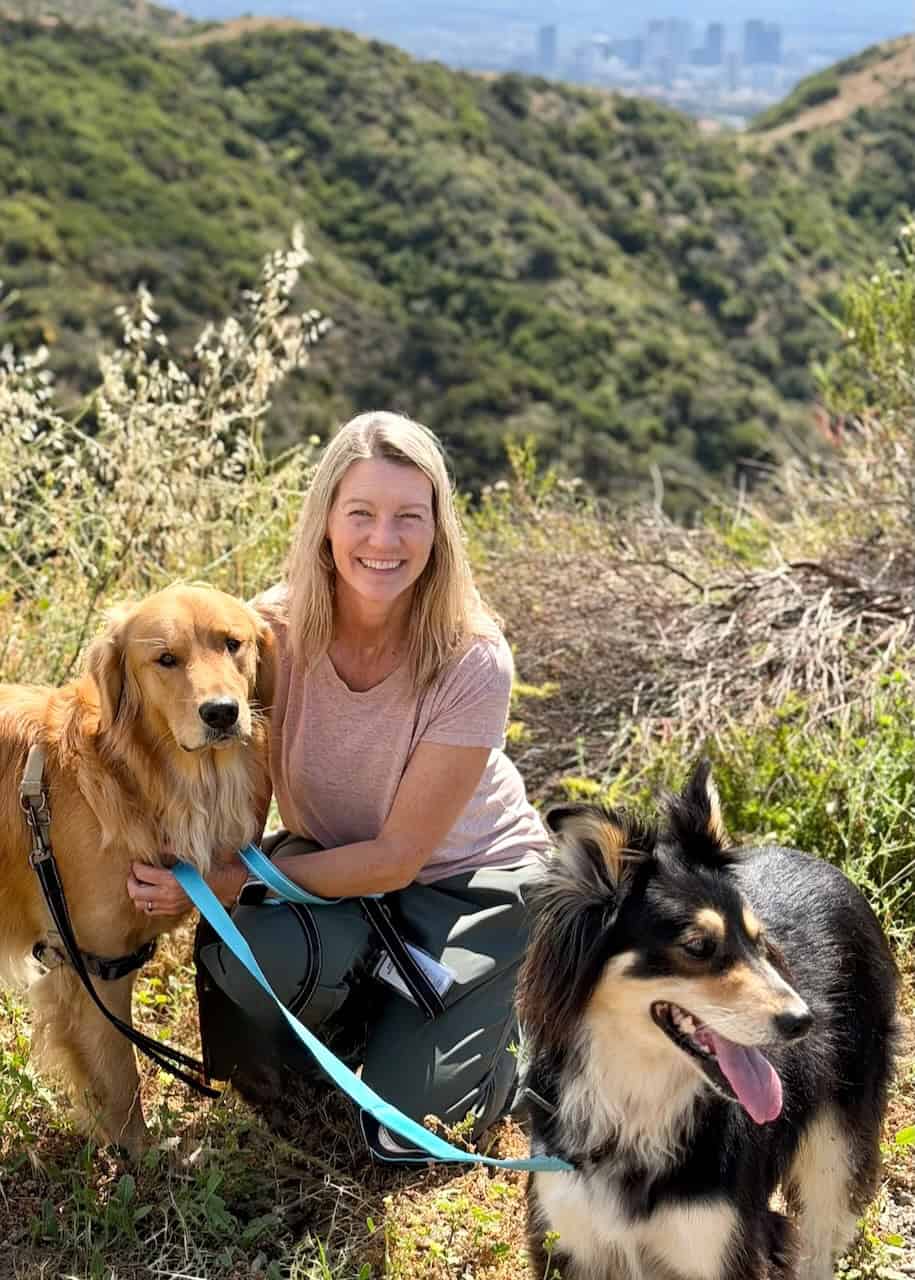 Hiking in the Santa Monica Mountains with two big dogs.