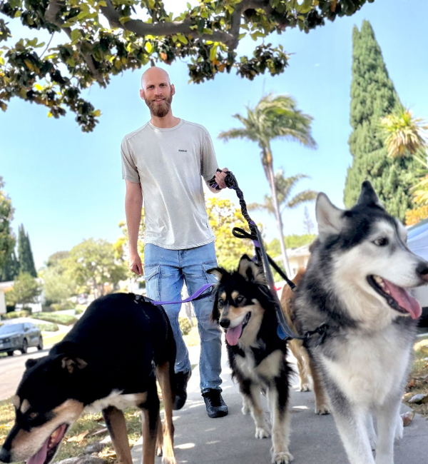 Priscilla - Dog walker and Pet Sitter for Animal Magnetism in West Los Angeles